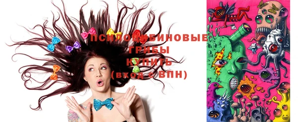 сатива Наволоки