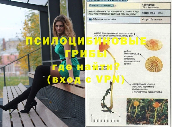 сатива Наволоки
